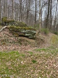 4070 State Route 60, Killbuck, OH 44637 photo 32