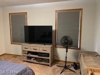 4070 State Route 60, Killbuck, OH 44637 photo 16