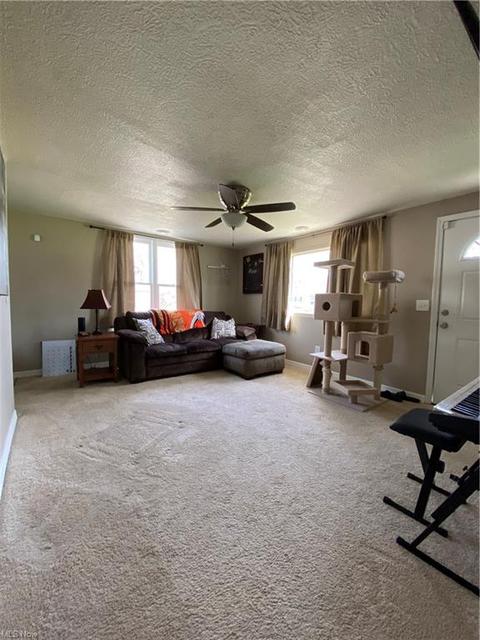 830 Baldwin Ave, Elyria, OH 44035 photo 8