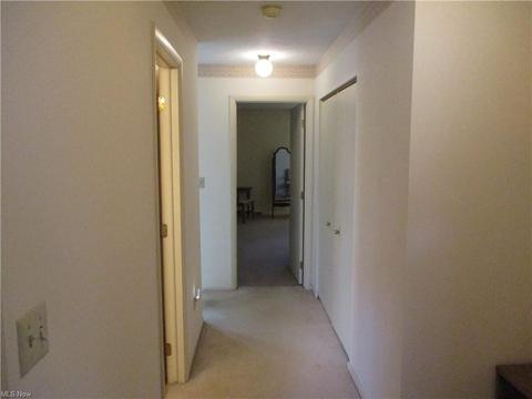 116 Olson Spur, Munroe Falls, OH 44262 photo 15