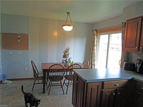 118 Alexander Dr, Elyria, OH 44035 photo 7