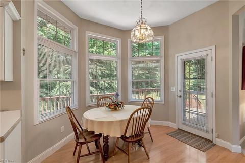 4395 Stonegate Dr, Saybrook, OH 44004 photo 14
