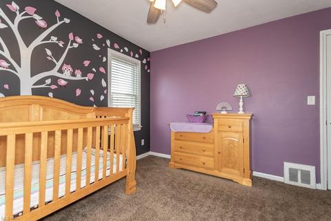 236 E 288th St, Willowick, OH 44095 photo 16
