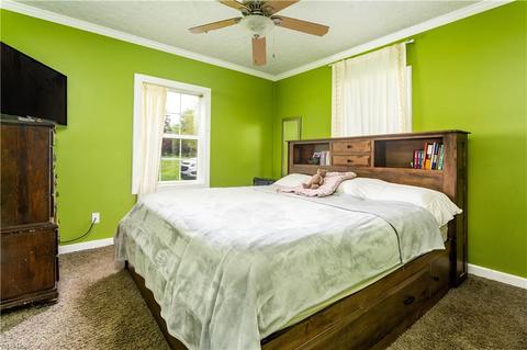 769 E Lorain St, Oberlin, OH 44074 photo 26