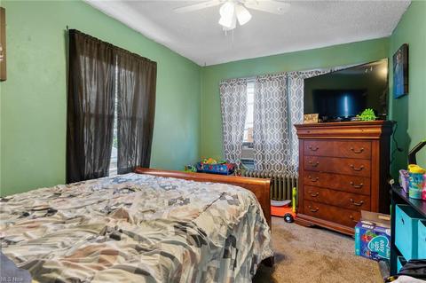 110 Elm St, Struthers, OH 44471 photo 8