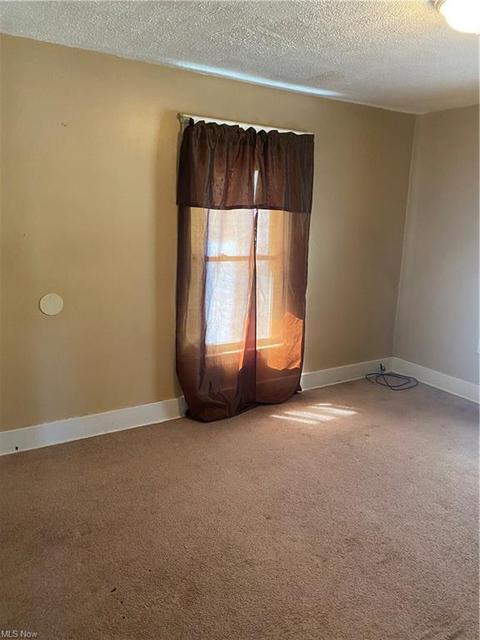 5220 Benefit Ave, Ashtabula, OH 44004 photo 20