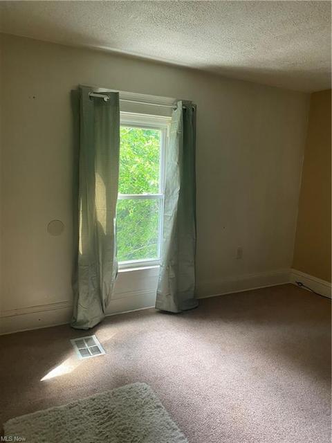 5220 Benefit Ave, Ashtabula, OH 44004 photo 23