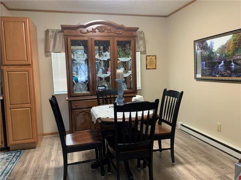 9840 Green Dr, Windham, OH 44288 photo 5