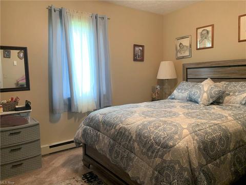 9840 Green Dr, Windham, OH 44288 photo 8