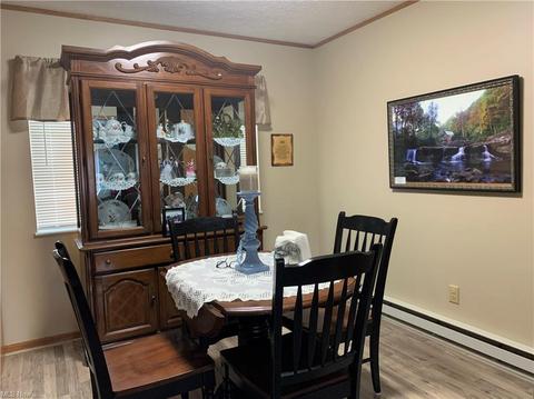 9840 Green Dr, Windham, OH 44288 photo 6
