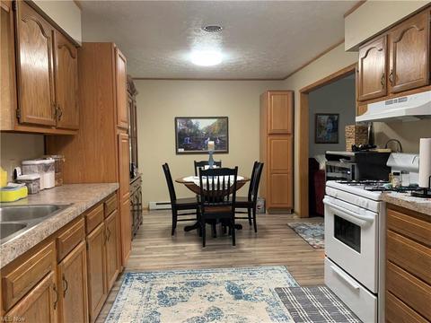 9840 Green Dr, Windham, OH 44288 photo 4