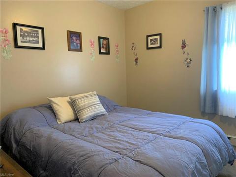 9840 Green Dr, Windham, OH 44288 photo 7