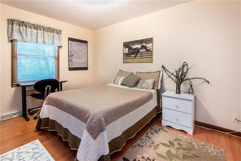 310 Hendrix Blvd, Lagrange, OH 44050 photo 14