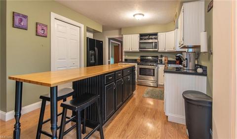 310 Hendrix Blvd, Lagrange, OH 44050 photo 5