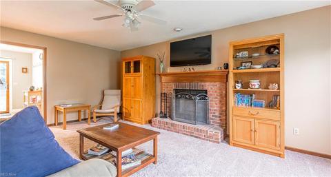 310 Hendrix Blvd, Lagrange, OH 44050 photo 9