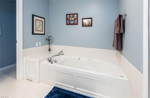 310 Hendrix Blvd, Lagrange, OH 44050 photo 20