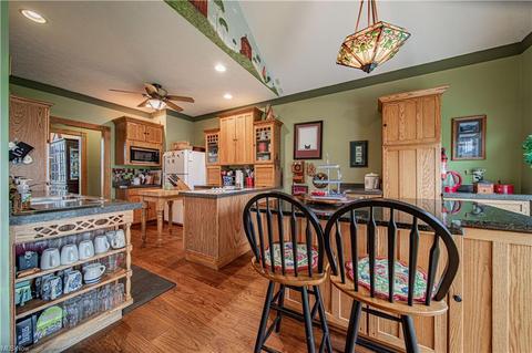 288 E Beech St, Jefferson, OH 44047 photo 17
