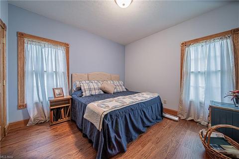 288 E Beech St, Jefferson, OH 44047 photo 33