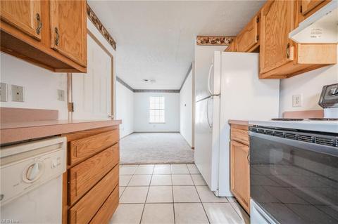 242 Morgan Ave, Elyria, OH 44035 photo 15