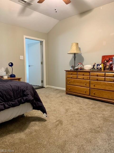 803 Walcutt Ct, Lagrange, OH 44050 photo 26
