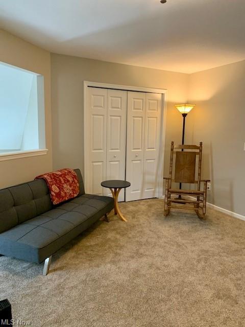 803 Walcutt Ct, Lagrange, OH 44050 photo 30