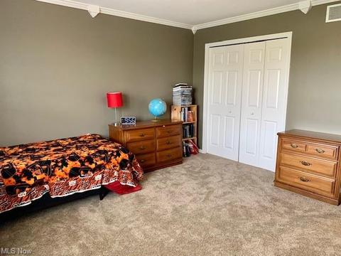 803 Walcutt Ct, Lagrange, OH 44050 photo 23