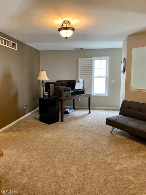 803 Walcutt Ct, Lagrange, OH 44050 photo 29