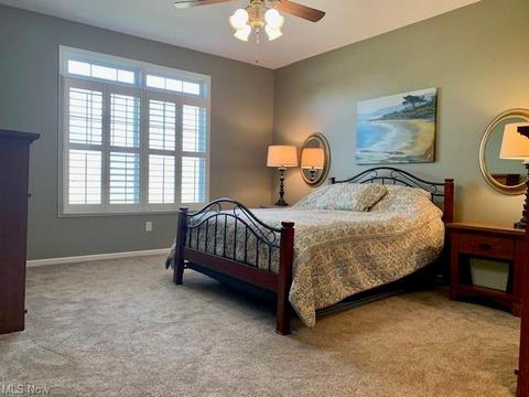 803 Walcutt Ct, Lagrange, OH 44050 photo 11