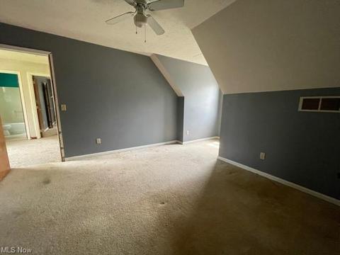 433 Hendrix Blvd, Lagrange, OH 44050 photo 19