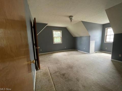 433 Hendrix Blvd, Lagrange, OH 44050 photo 16