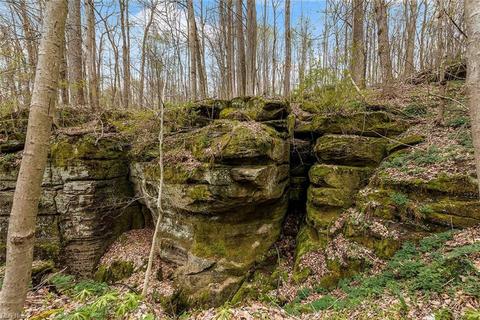 6370 State Rd, Wadsworth, OH 44281 photo 24