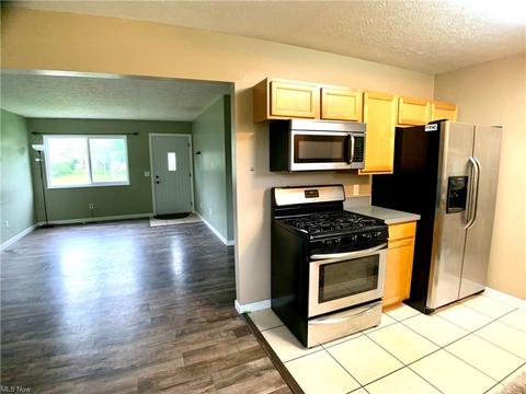 9834 Blanton Dr, Windham, OH 44288 photo 9