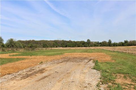 16331 Whitehead Rd, Lagrange, OH 44050 photo 30