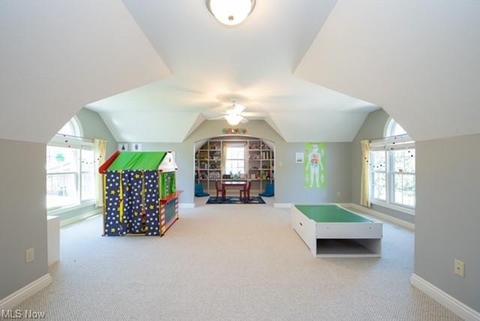 5456 Pine Ln, Solon, OH 44139 photo 19