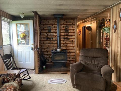 456 Stallion Ct, Lagrange, OH 44050 photo 15