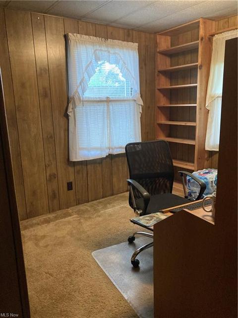 456 Stallion Ct, Lagrange, OH 44050 photo 8