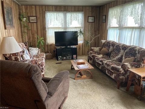 456 Stallion Ct, Lagrange, OH 44050 photo 12