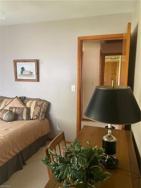2129 Harbor Ave, Ashtabula, OH 44004 photo 25