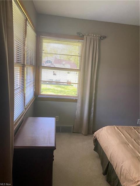 2129 Harbor Ave, Ashtabula, OH 44004 photo 22