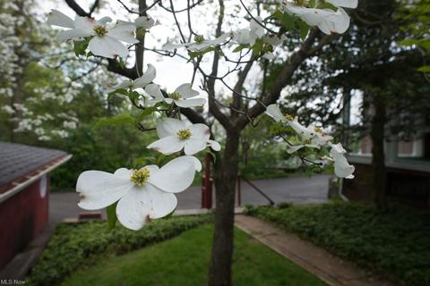 1128 E Wayne Ave, Wooster, OH 44691 photo 33