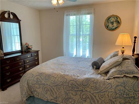 196 Ruby Ln, Streetsboro, OH 44241 photo 19
