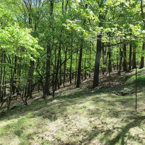 6377 Broadview Rd, Parma, OH 44134 photo 2
