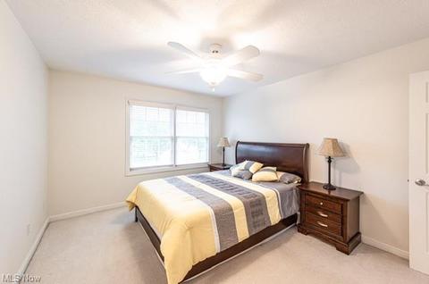 6620 Andre Ln, Solon, OH 44139 photo 24
