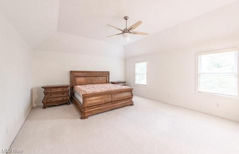 6620 Andre Ln, Solon, OH 44139 photo 18
