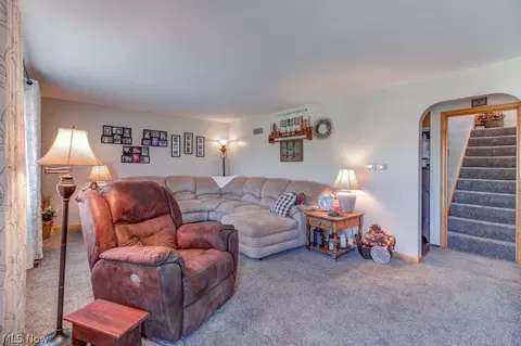909 Ike St, Minerva, OH 44657 photo 5