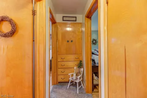 909 Ike St, Minerva, OH 44657 photo 15