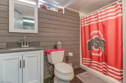909 Ike St, Minerva, OH 44657 photo 22