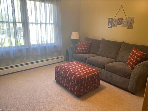 964 Sunset Cir, Roaming Shores, OH 44085 photo 7