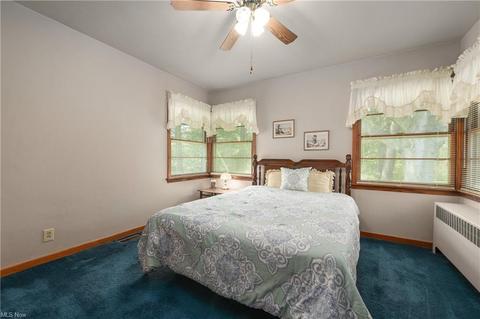 10594 Lagrange Rd, Elyria, OH 44035 photo 19