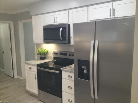 355 Longford Ave, Elyria, OH 44035 photo 3